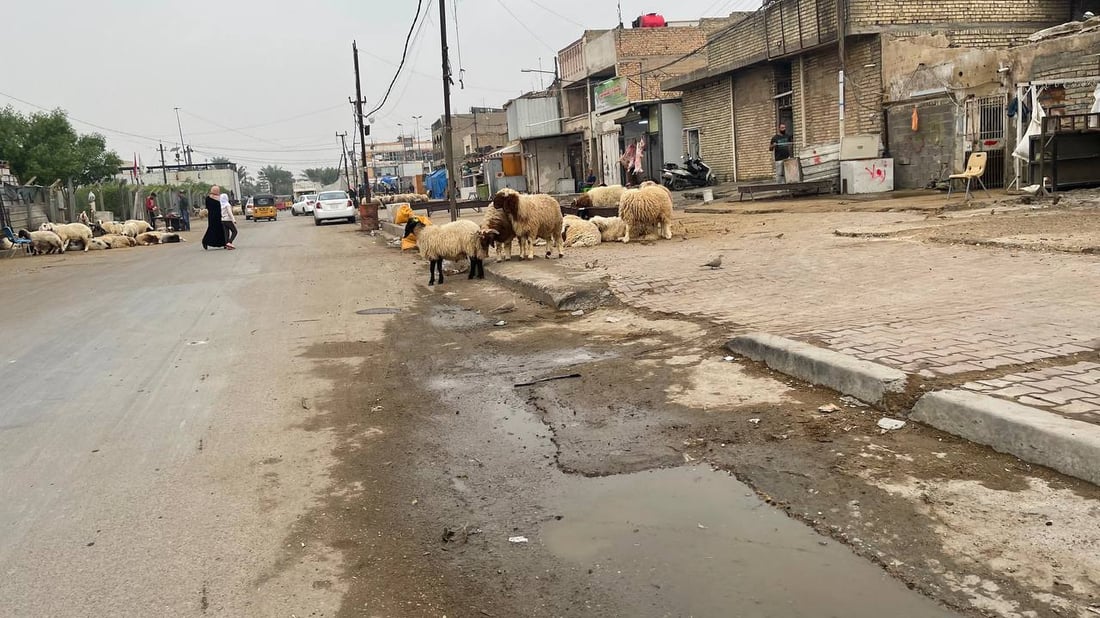 هذا ما يحدث قرب صورة الصدرين في “قطاع 18”.. وهناك من “يحميهم”! (صور)