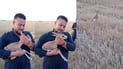 له‌ ده‌شتى قه‌راج ته‌نیا بۆ وێنه‌گرتنێك كارمامزه‌كان ده‌گرن و ئازادیان ده‌كه‌ن