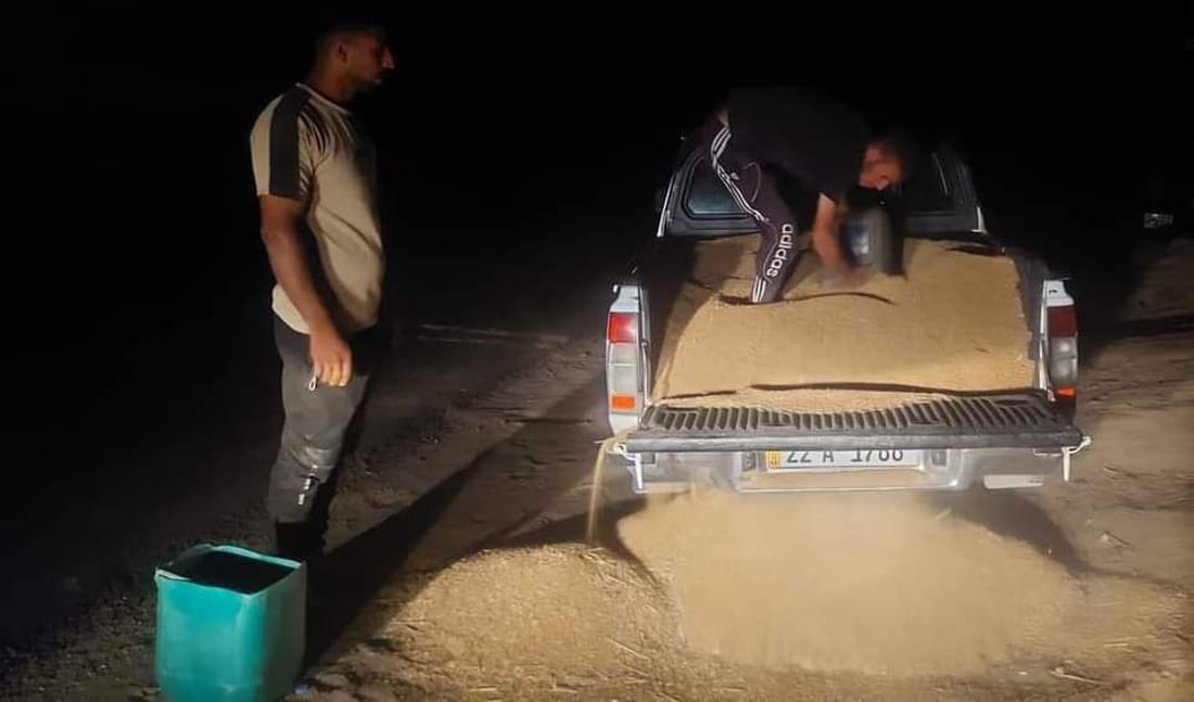 بازگەی چینکۆکە دێوەزمەکەی خەڵکی داودە