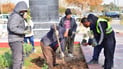لە هەولێر 700 گوڵی تایبەت چێنران و هەڵمەتێكیش بەڕێوەیە