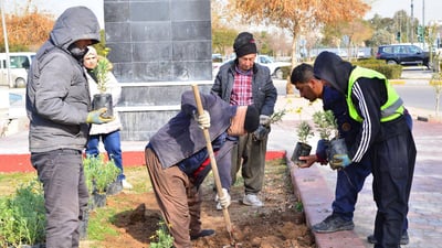 لە هەولێر 700 گوڵی تایبەت چێنران و هەڵمەتێكیش بەڕێوەیە