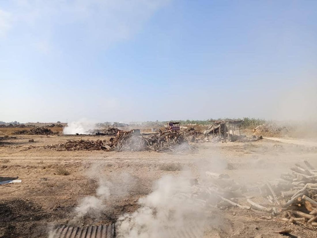 الشوي على خشب حمضيات ديالى ليس كغيره.. الفحامة في أفضل حال والمنتوج إلى البصرة