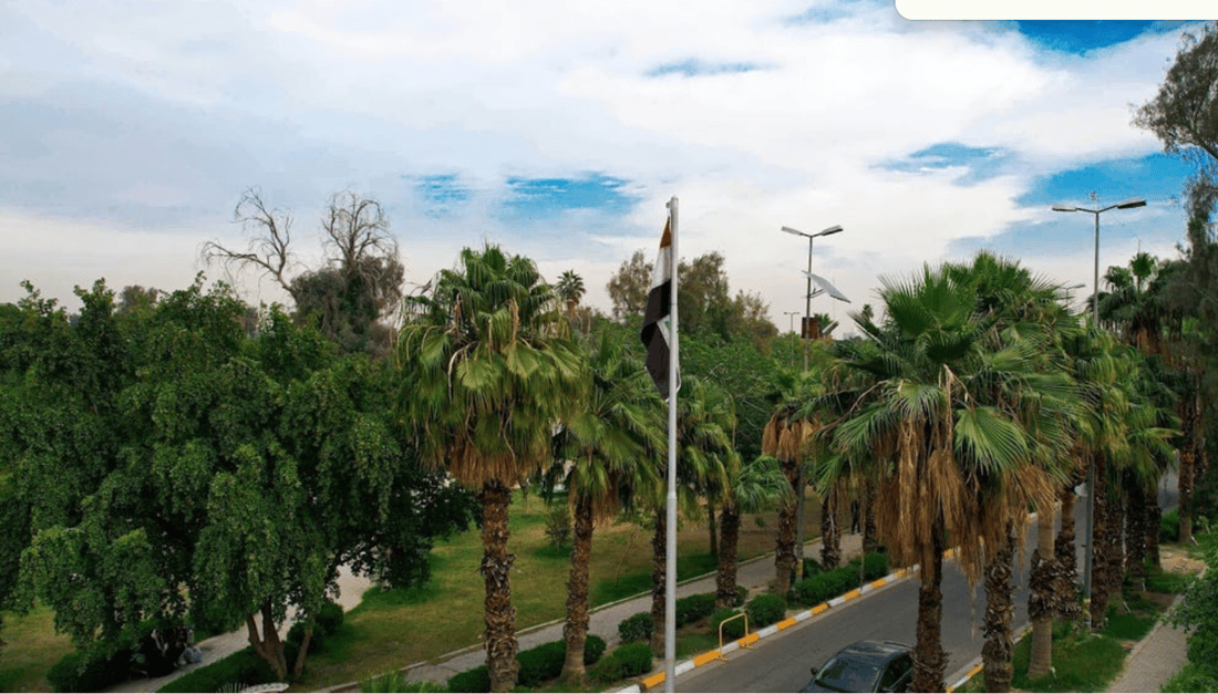 Baghdad says preparations underway for 5,000-dunam sustainable forest project