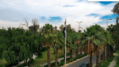 Baghdad says preparations underway for 5,000-dunam sustainable forest project