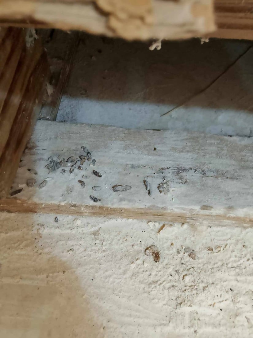 لە هەڵەبجە نانەواخانەیەک سزا درا و دوو شوێنکاریش ئاگادار کرانەوە