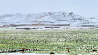 نينوى تعطل دوام المدارس ليومي الثلاثاء والأربعاء