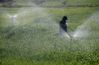Iraqi farmers see hope with water-saving irrigation techniques amid drought threat
