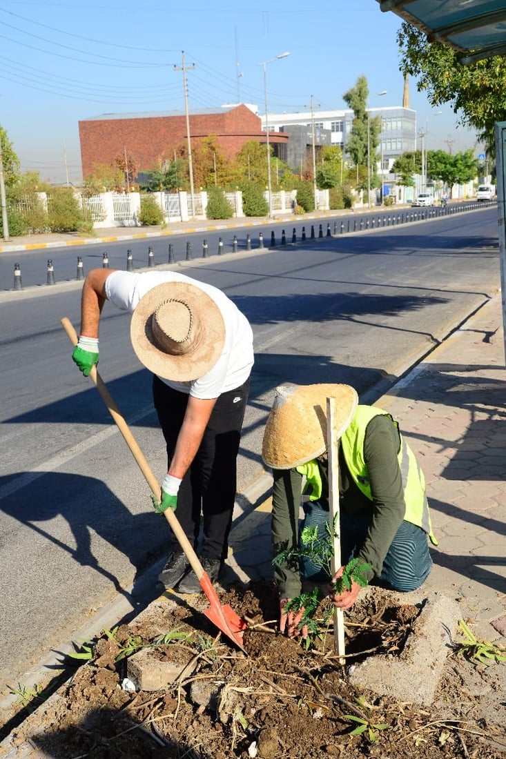 شەقام بە شەقام لەهەولێر دار دەچێندرێت