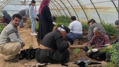 Sulaymaniyah gardens initiative aims to cultivate 500,000 saplings and flowers