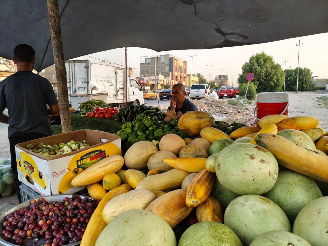 صور: هذا ليس بطيخاً ولا “عطروزي”.. سوق الحلة يحتفل بـ”السابوري” أو “خيار الماء”