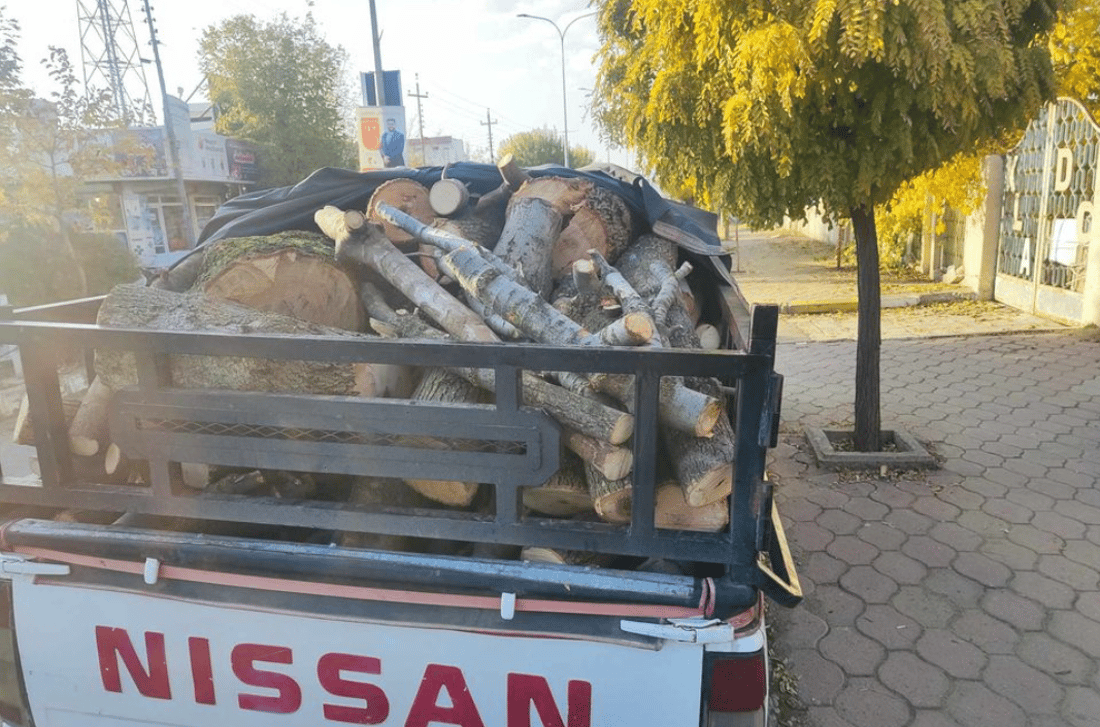 داربڕێک لە پێنجوێن و راوچیەک لە ئاغجەلەر دەستگیر کران