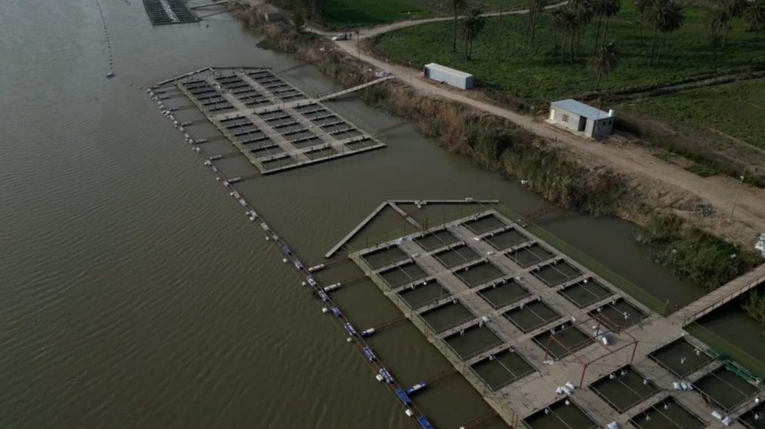 Wasit fish farmers seek feed support for floating cage projects