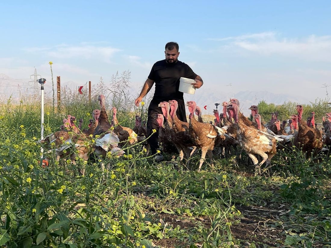 گه‌نجێكی سه‌یدسادق ده‌یه‌وێت “قه‌لى سوور” بكاته‌ پڕۆژه‌یه‌كی گه‌وره‌