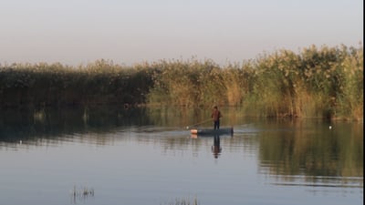 فيديو: فشل غير مزعج للصيادين في بحيرات “بلد”.. هنا الطبيعة وأصوات الطيور