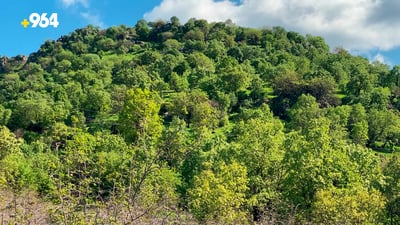 بارزان.. ئەو دەڤەرەی ئاژەڵەکان هەست بە ئەمان دەکەن