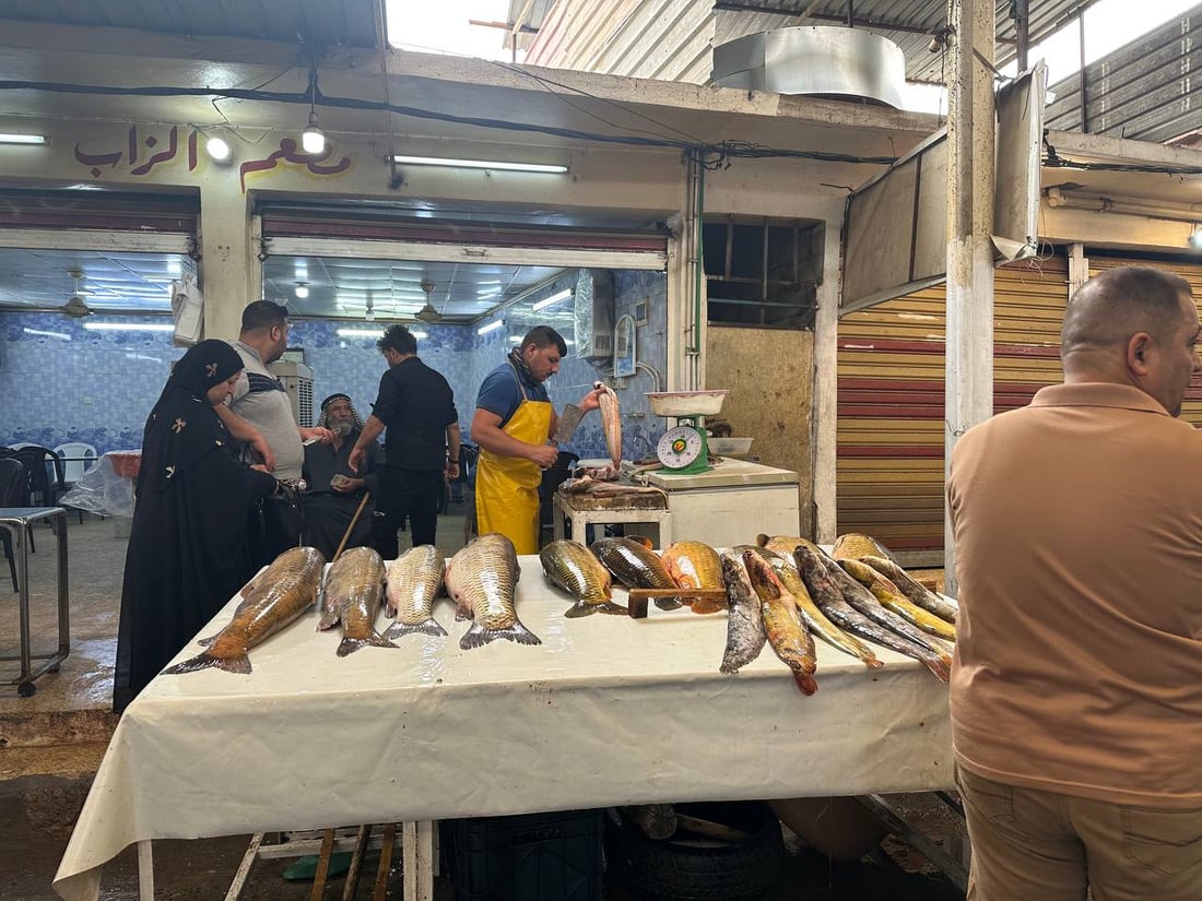 صور: أسماك المحافظات لم تصل الى سوق الميدان في الموصل.. والسعر ارتفع قليلاً