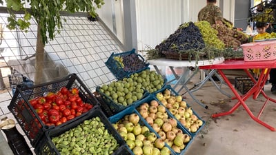 هەڵەبجە پێش پاییز هەنارێکی نوێی خستە بازاڕەوە