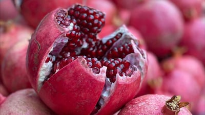 هه‌ڵه‌بجه‌ پلانى ئه‌وه‌یه‌ جگه‌ له‌ هه‌ناره‌كه‌ى به‌رهه‌مى دیكه‌ش بنێرێته‌ ده‌ره‌وه‌