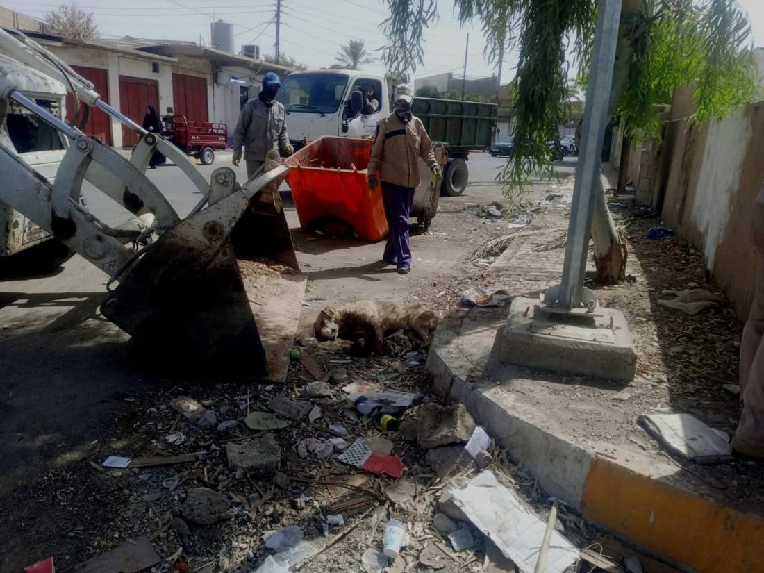 مامۆستایەکی ئاینی: نابێ بە پێدانی ژەهر سەگ لەناو ببرێ