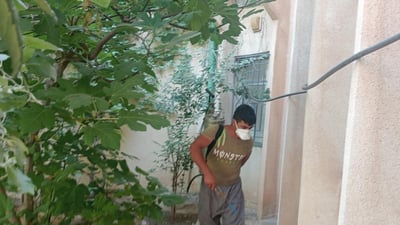 لە سەنتەری دوكان هەڵمەتی رشاندن بە دەرمانی قڕكەر دەستیپێکرد