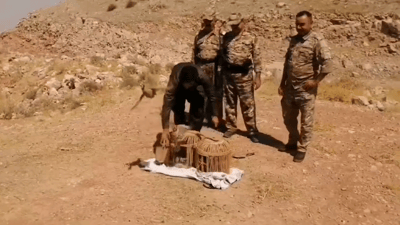 هاوڵاتیەک نۆ کەوی گەڕاندەوە بۆ ناو سروشت