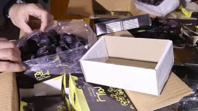 دەیانویست نزیکەی 4 هەزار کارتۆن خورمای خراپبوو دەرخواردی خەڵک بدەن