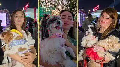 يوم عالمي لأحلى كلاب السليمانية وبعض الأصناف بـ 10 آلاف دولار