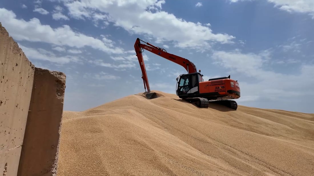 التجارة تعلن تحقيق الاكتفاء الذاتي من محصول الحنطة