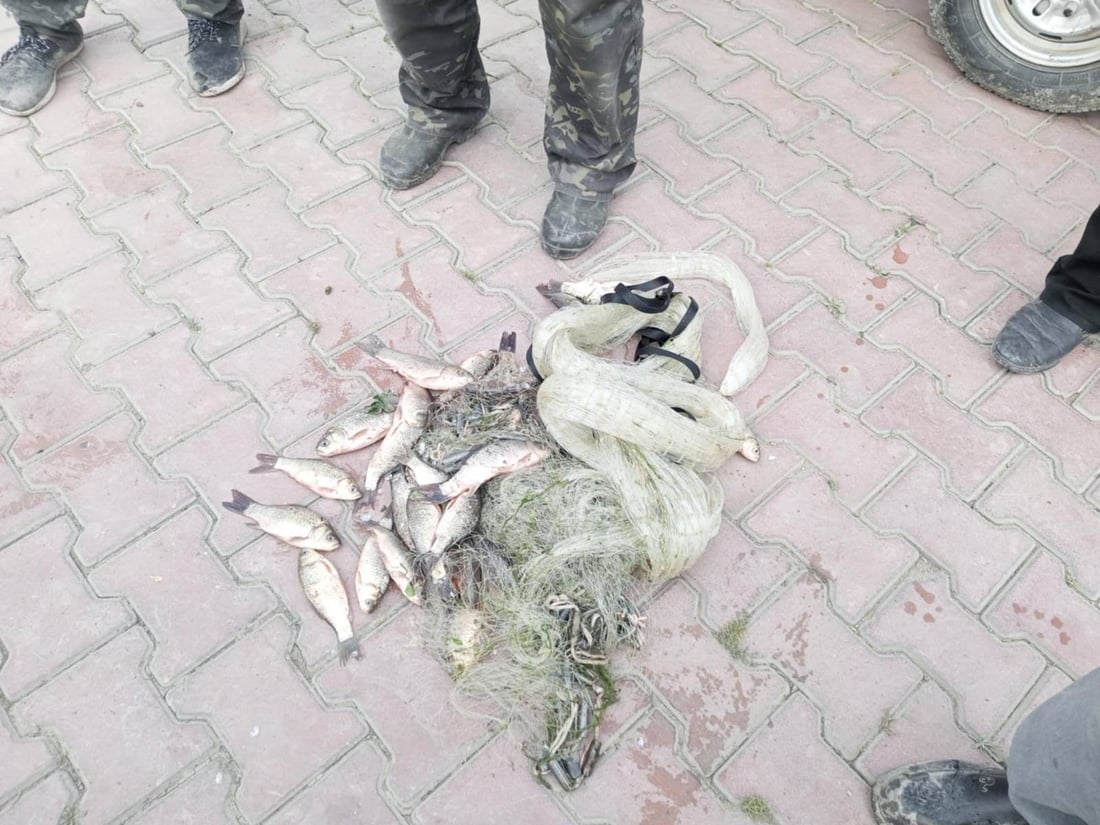 Environmental police arrest seven at Darbandikhan Lake for illegal fishing during seasonal ban