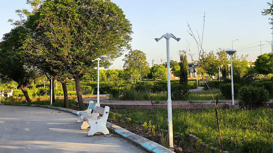 رێکخراوێک لە شارەزوور پارکەکان پاکدەکاتەوە و سەلەی خۆڵ دادەنێت