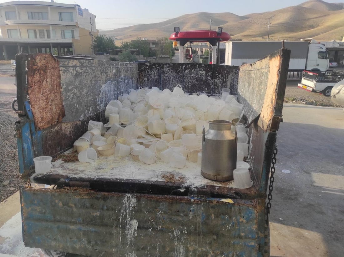 هەزاران سەتڵ ماستى خۆماڵى کەڕوولێدراو دەستى بەسەرداگیرا
