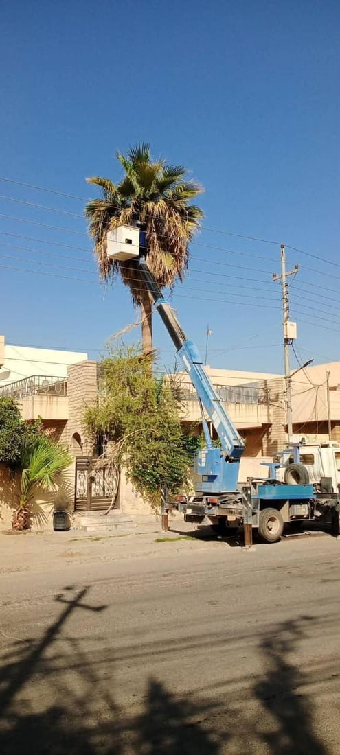 ئەندازەی پارکەکانی هەولێر: هەڵپاچینی درەختەکان بەئەنقەست نییە