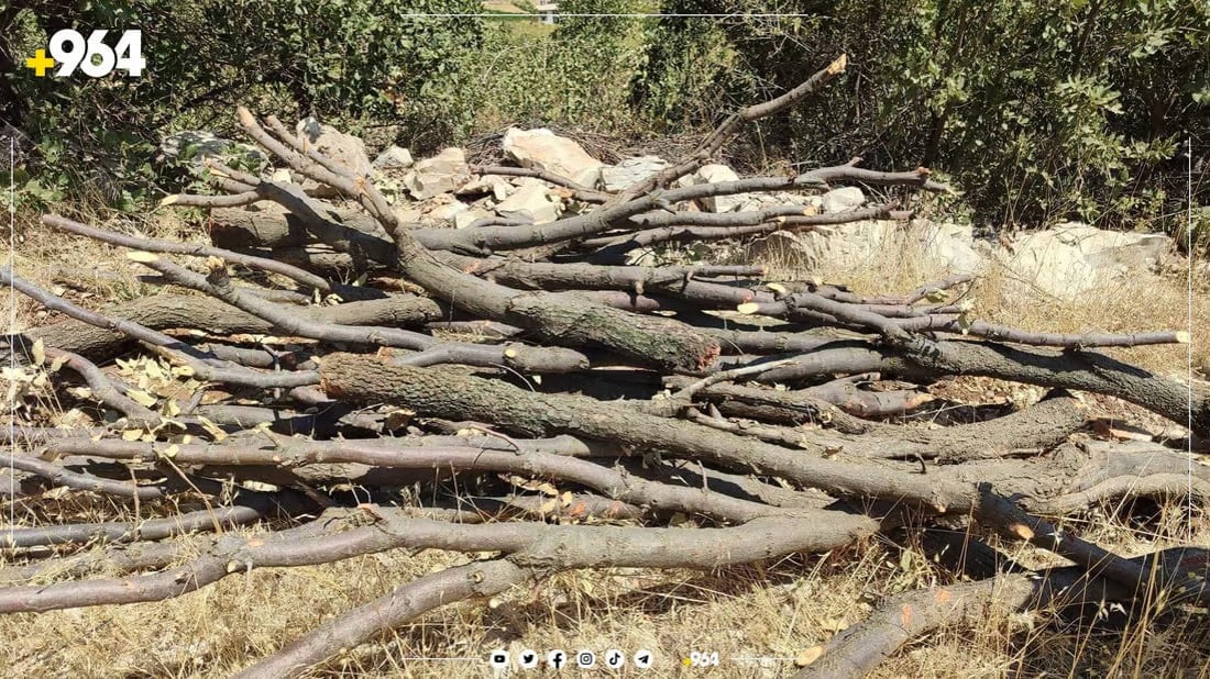 ارتفاع حصيلة معتقلي الغابات في السليمانية.. الشرطة شاهدت “أشكالاً غريبة”