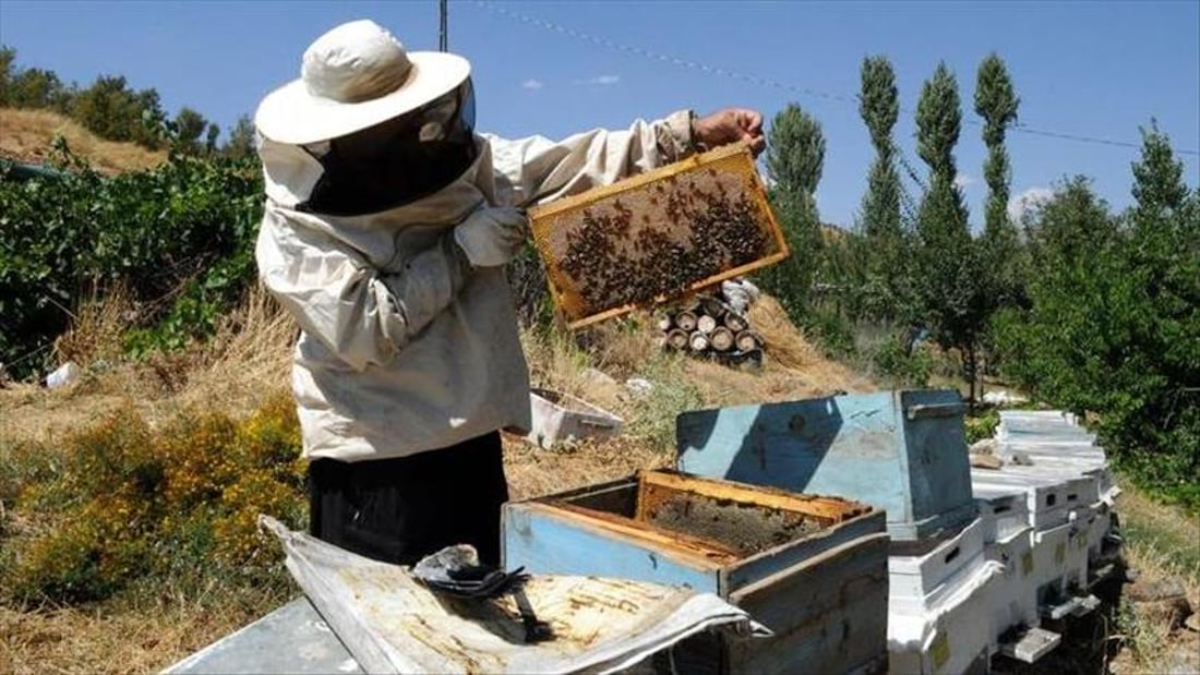 Seminar on beekeeping in Ranya aims to address industry challenges
