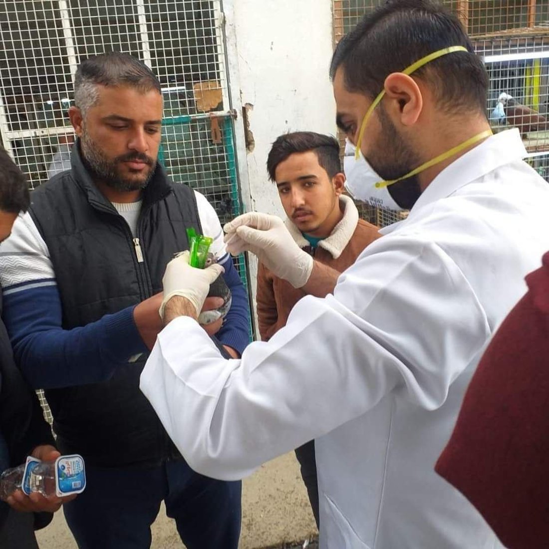 حظر دخول “الطيور البرية” إلى ديالى إلا بشهادة صحية تثبت خلوها من “الأمراض الفتاكة”