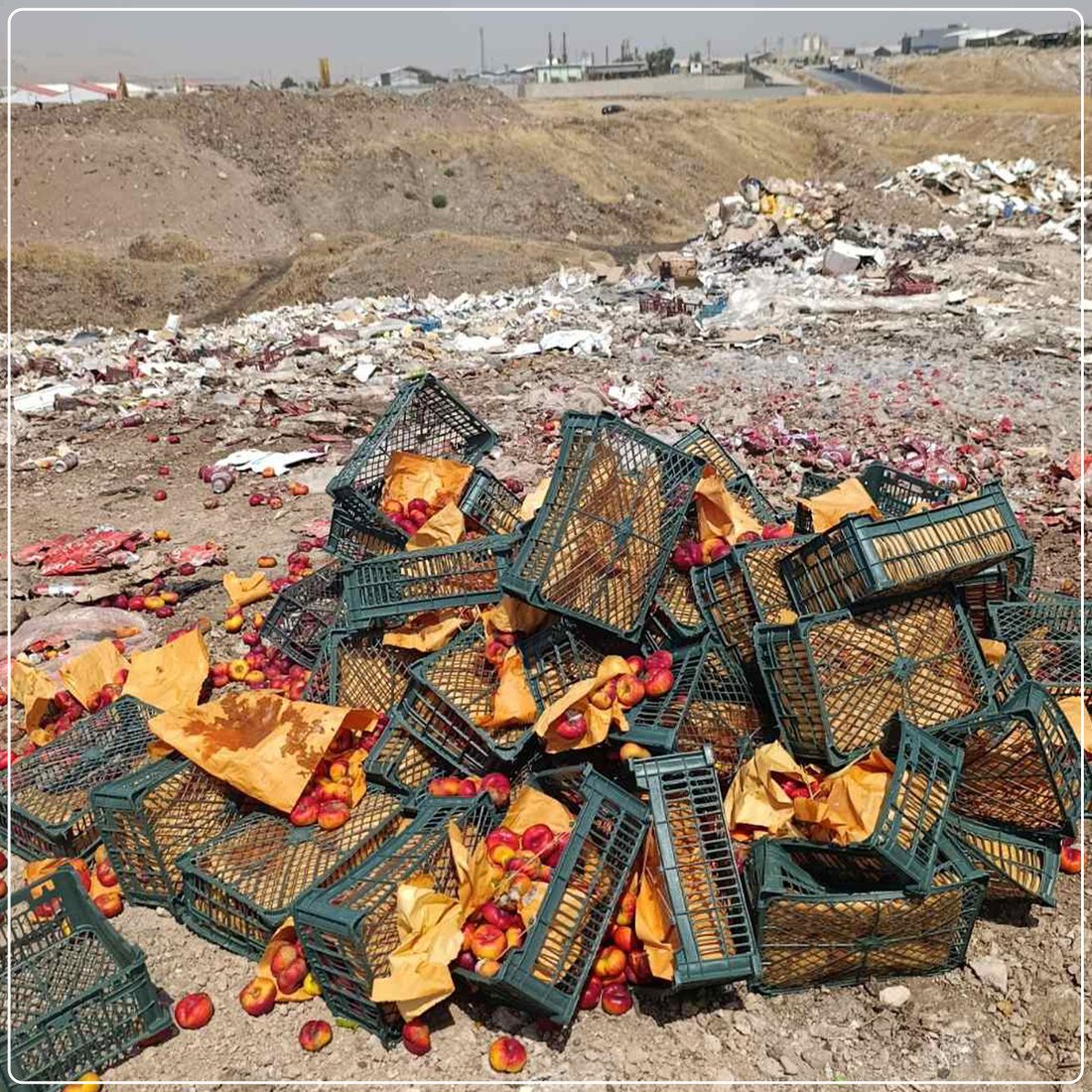 زیاتر له‌ 16 تۆن خۆراک و كاڵای خراپبوو لە سلێمانی دەستی بەسەرداگیرا