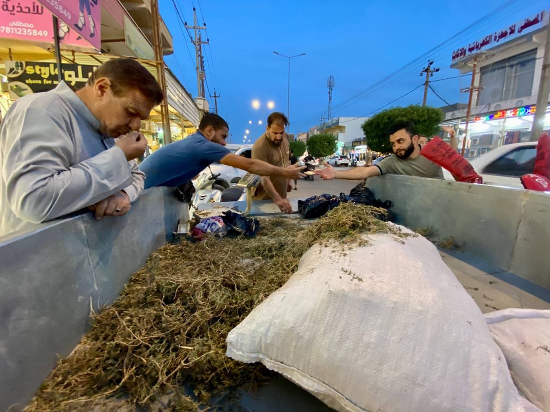 صور: بيع الزعتر العراقي في مدن الأنبار.. يفضّله أهل كبيسة وهيت