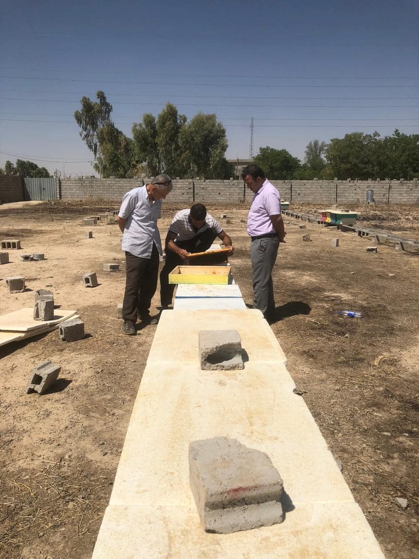 هۆكارێكی نادیار 85 سندوق مێشى له‌ گوندێكی گه‌رمیان له‌ناو بردووه‌