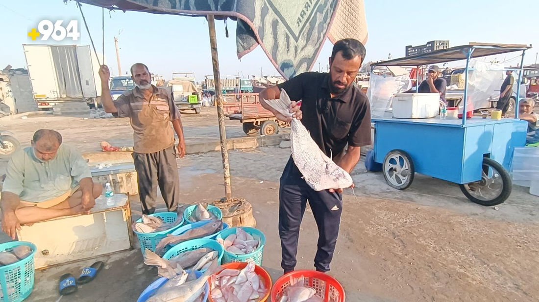 الزبيدي بـ35 ألف دينار.. قائمة صباحية بأسعار السمك في مزاد الفاو لهذا اليوم