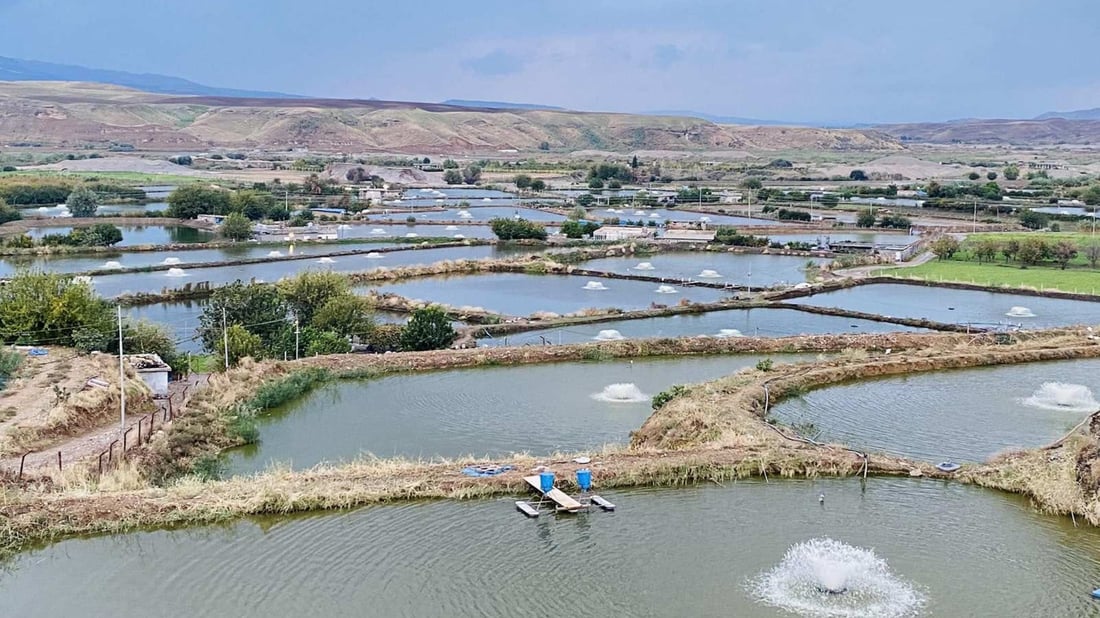 بەڵێندرا کێشەی کارەبای ناحییەکانی سەر زێی بچووک چارەسەربکرێن