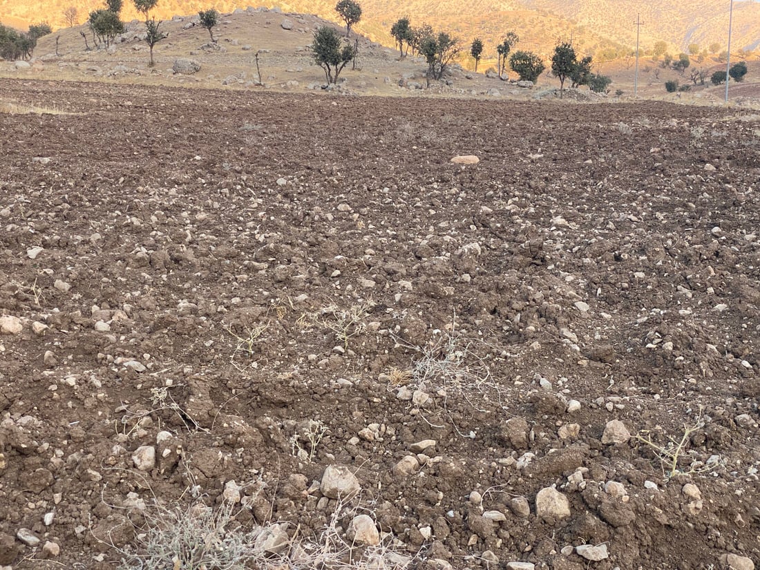 ئەمڕۆ هەقە پەڵەیە؛ بەڵام هێشتا باران نەباریوە