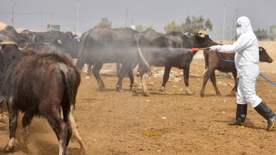 تاى خوێنبەربوون چییە و چۆن خۆمانى لێ دەپارێزین؟