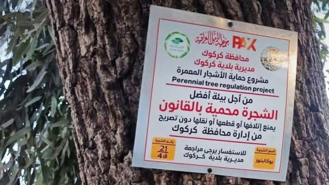 له‌ كه‌ركوک ژماره‌ و كۆدی تایبه‌ت بۆ دره‌خته‌ به‌ته‌مه‌نه‌كان داده‌ندرێت