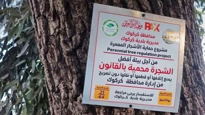 له‌ كه‌ركوک ژماره‌ و كۆدی تایبه‌ت بۆ دره‌خته‌ به‌ته‌مه‌نه‌كان داده‌ندرێت