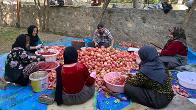ئەمساڵ دروستکردنی رووبەهەنار لە هەورامان دواکەوتووە