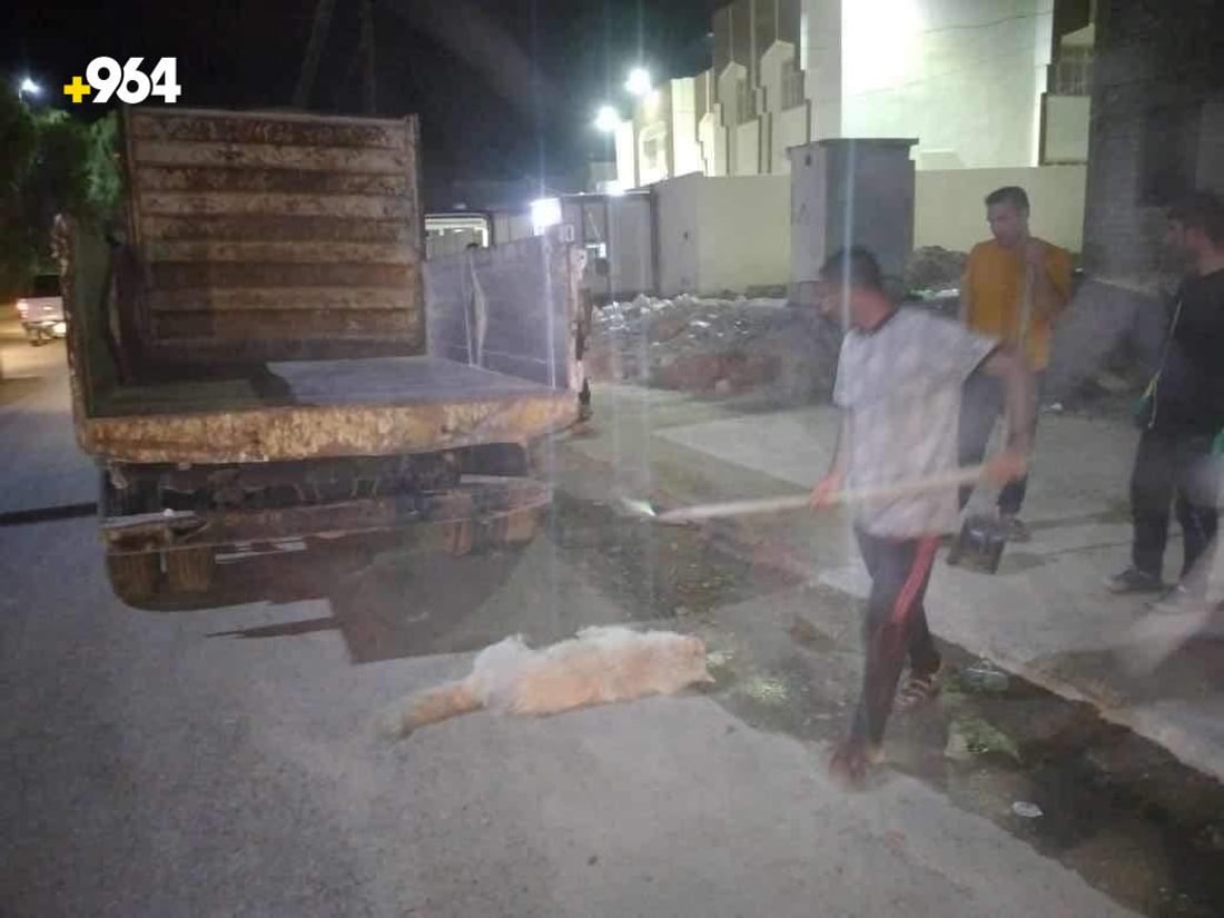 صور: العياضية تنتقم من الكلاب السائبة بعد ليالي مرعبة وحالتي وفاة