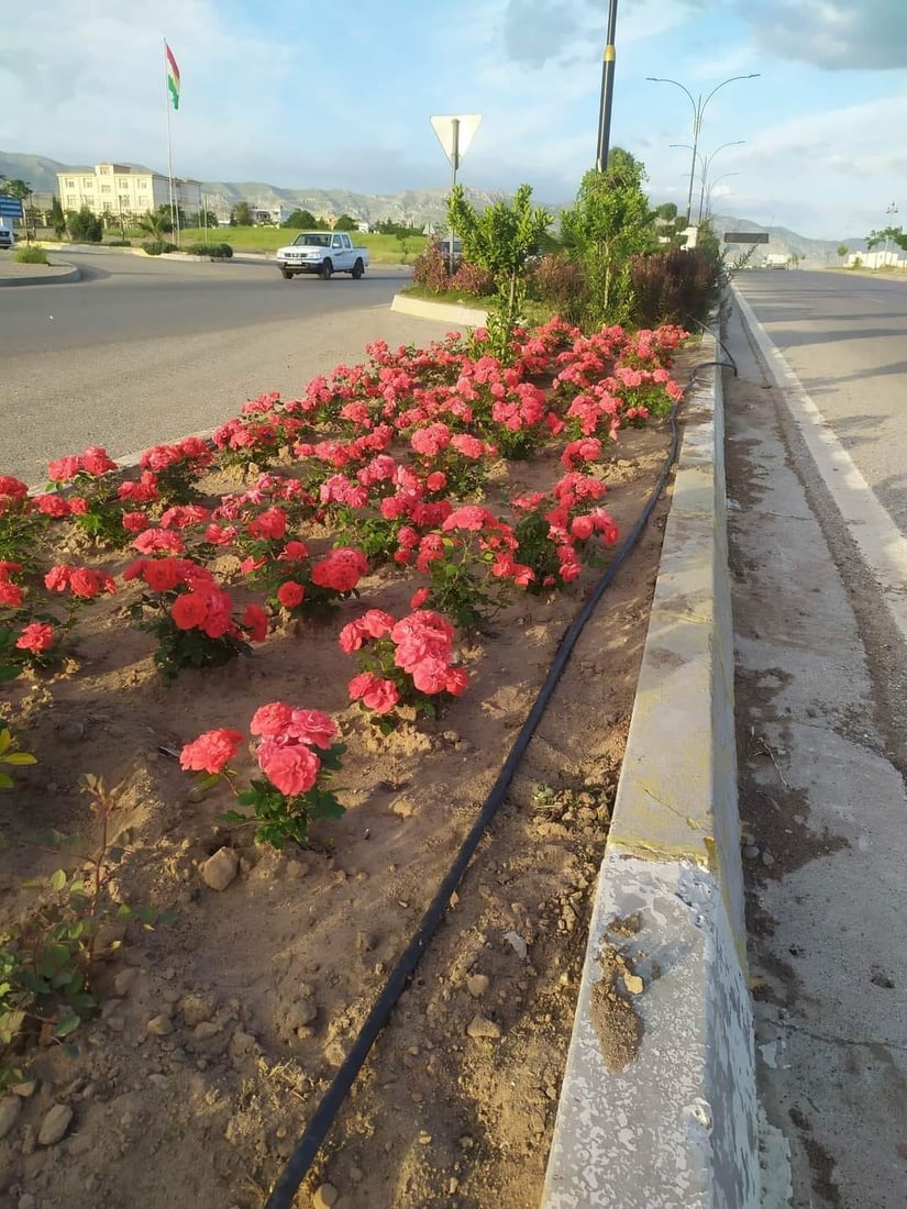 ئاكرێ گوڵباران كرا