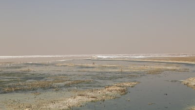 Najaf’s shrinking lake loses 10,000 acres as drought continues
