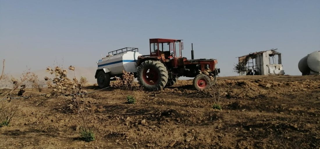باخچە رووەکییەکەتان بیرە کە سووتا %80 بوژاوەتەوە
