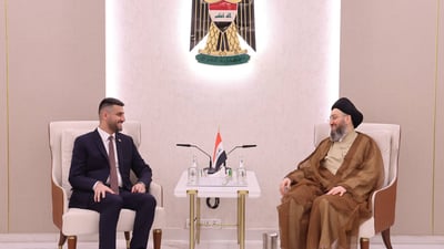 الحكيم ووزير الكهرباء يناقشان أزمة الطاقة: استفيدوا من التجارب الناجحة